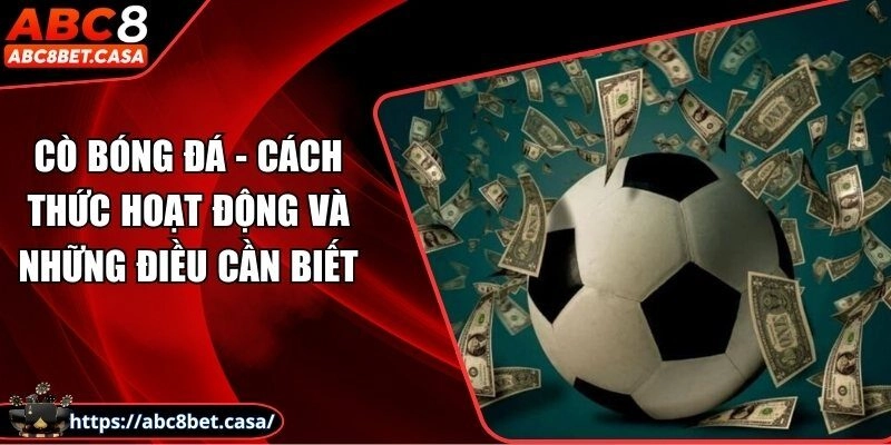Cò bóng đá - Cách thức hoạt động và những điều cần biết